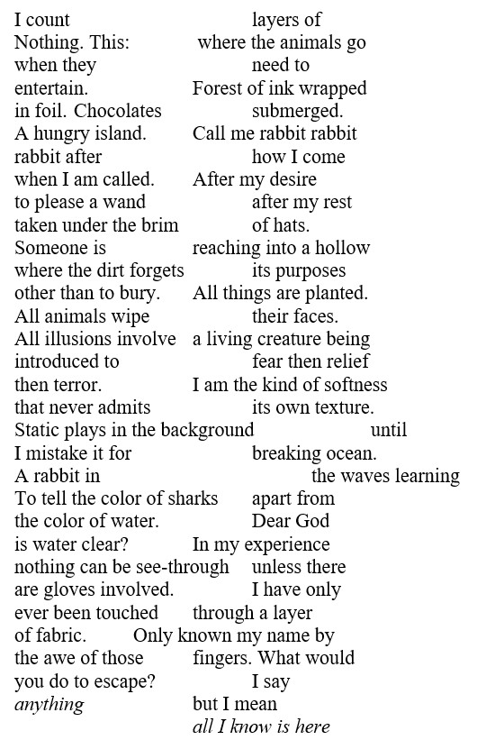 I count layers of Nothing. This: where the animals go when they need to entertain. Forest of ink wrapped in foil. Chocolates submerged. A hungry island. Call me rabbit rabbit rabbit after how I come when I am called. After my desire to please a wand after my rest taken under the brim of hats. Someone is reaching into a hollow where the dirt forgets its purposes other than to bury. All things are planted. All animals wipe their faces. All illusions involve a living creature being introduced to fear then relief then terror. I am the kind of softness that never admits its own texture. Static plays in the background until I mistake it for breaking ocean. A rabbit in the waves learning To tell the color of sharks apart from the color of water. Dear God is water clear? In my experience nothing can be see-through unless there are gloves involved. I have only ever been touched through a layer of fabric. Only known my name by the awe of those fingers. What would you do to escape? I say anything but I mean all I know is here 